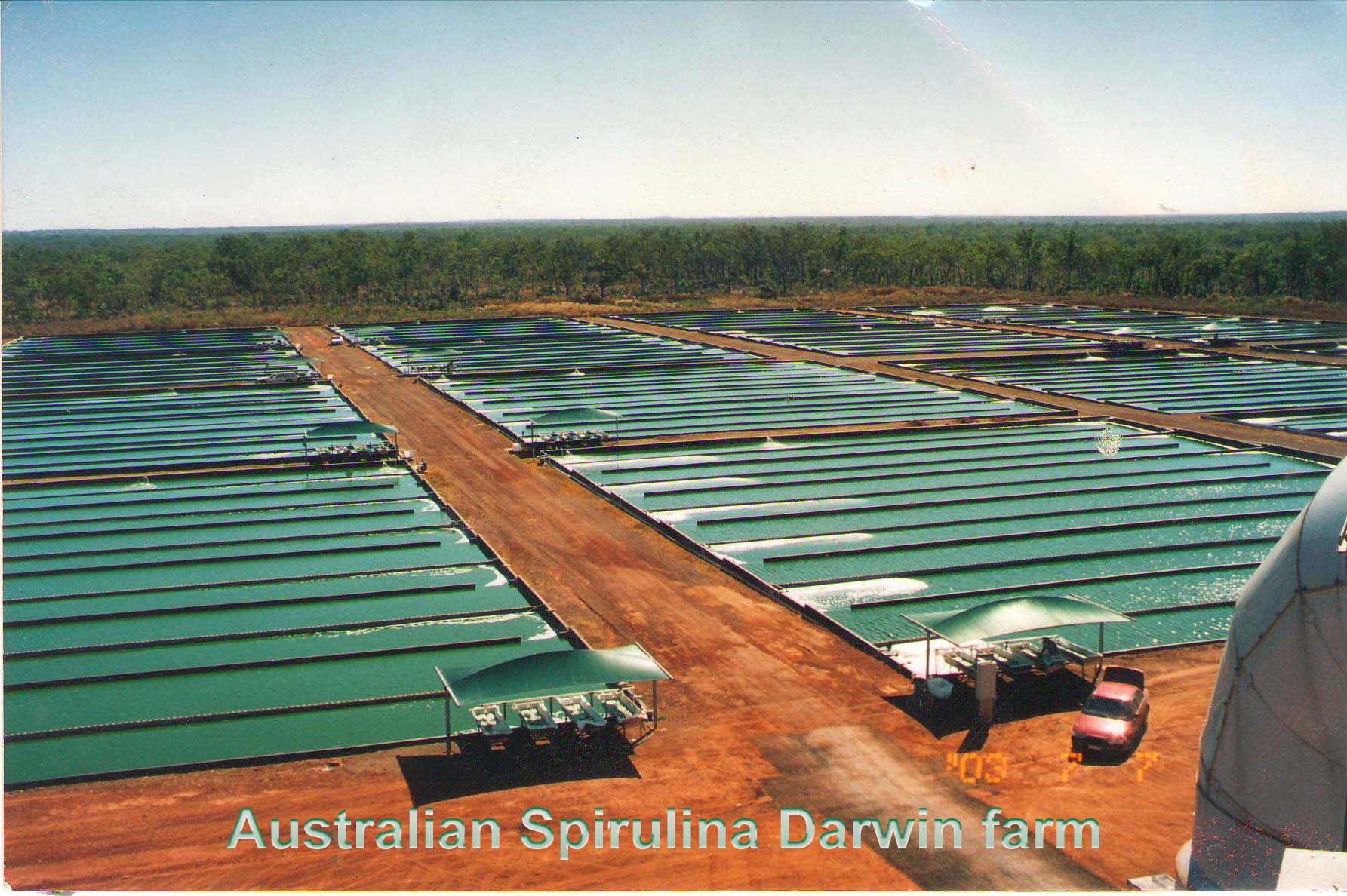 Real Australian Grown Spirulina
